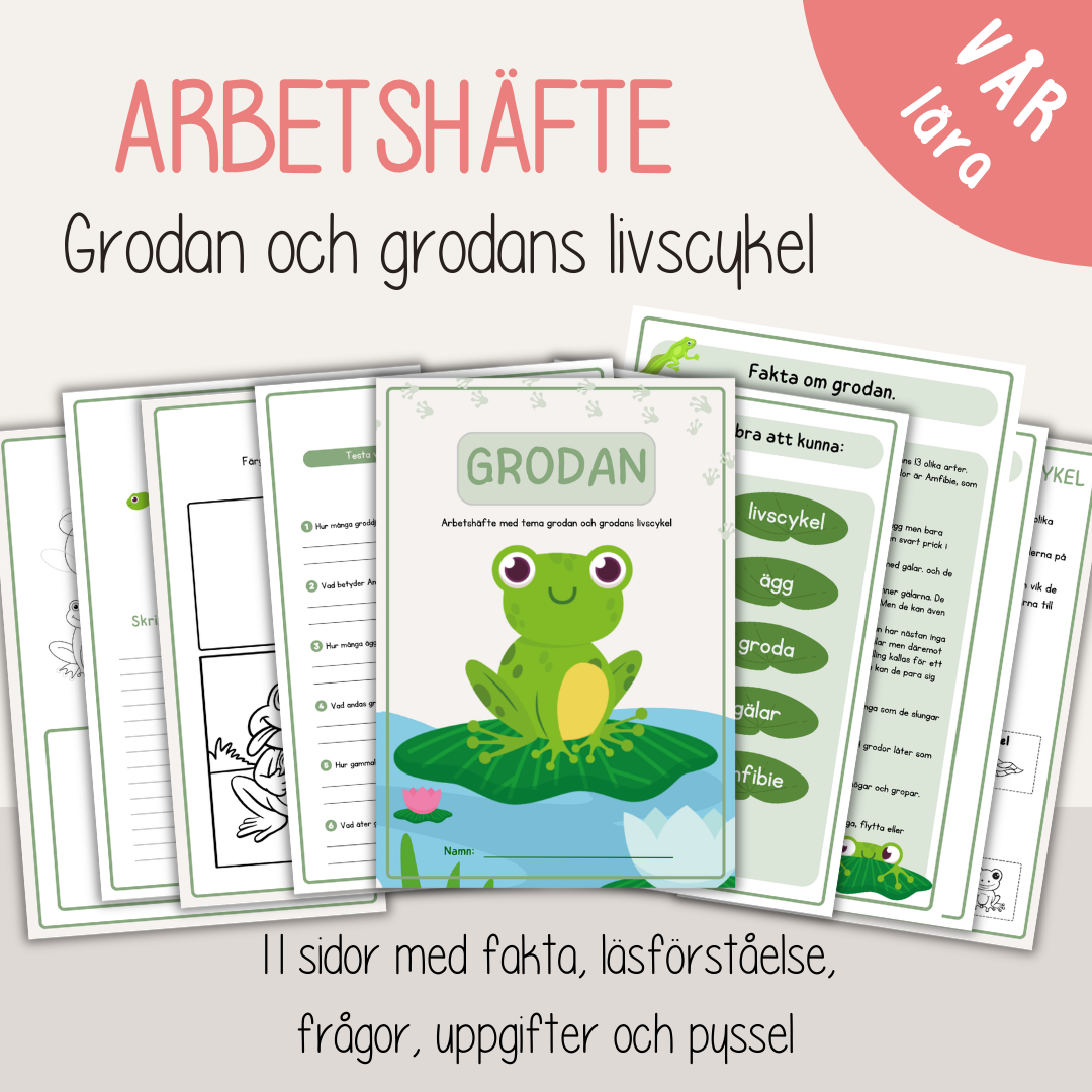 Grodans livscykel – arbetsblad och faktamaterial för barn (10 sidor)