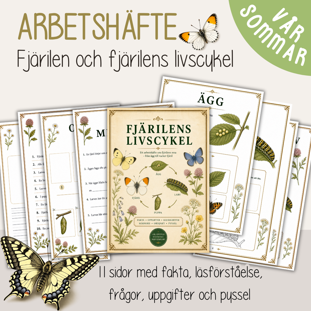 Fjärilens livscykel – Fakta, arbetsblad och pyssel för barn