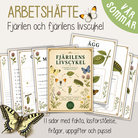 Fjärilens livscykel – Fakta, arbetsblad och pyssel för barn