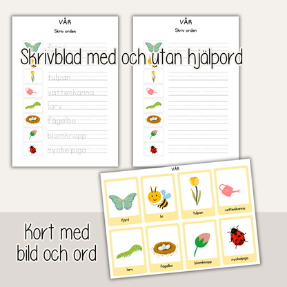 Ordkort och skrivblad vår – träna läsa, spåra och skriva (utskrivbart material för barn)
