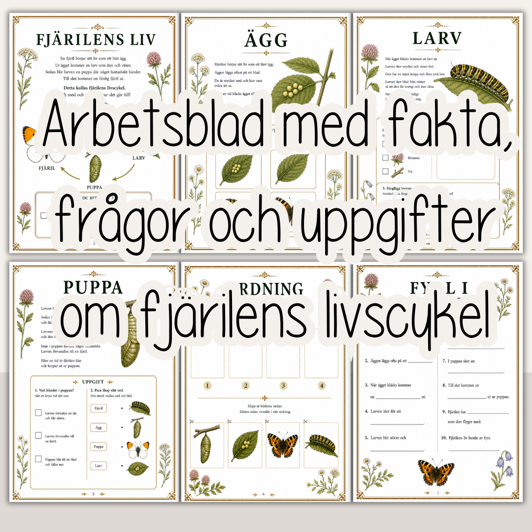 Fjärilens livscykel – Fakta, arbetsblad och pyssel för barn