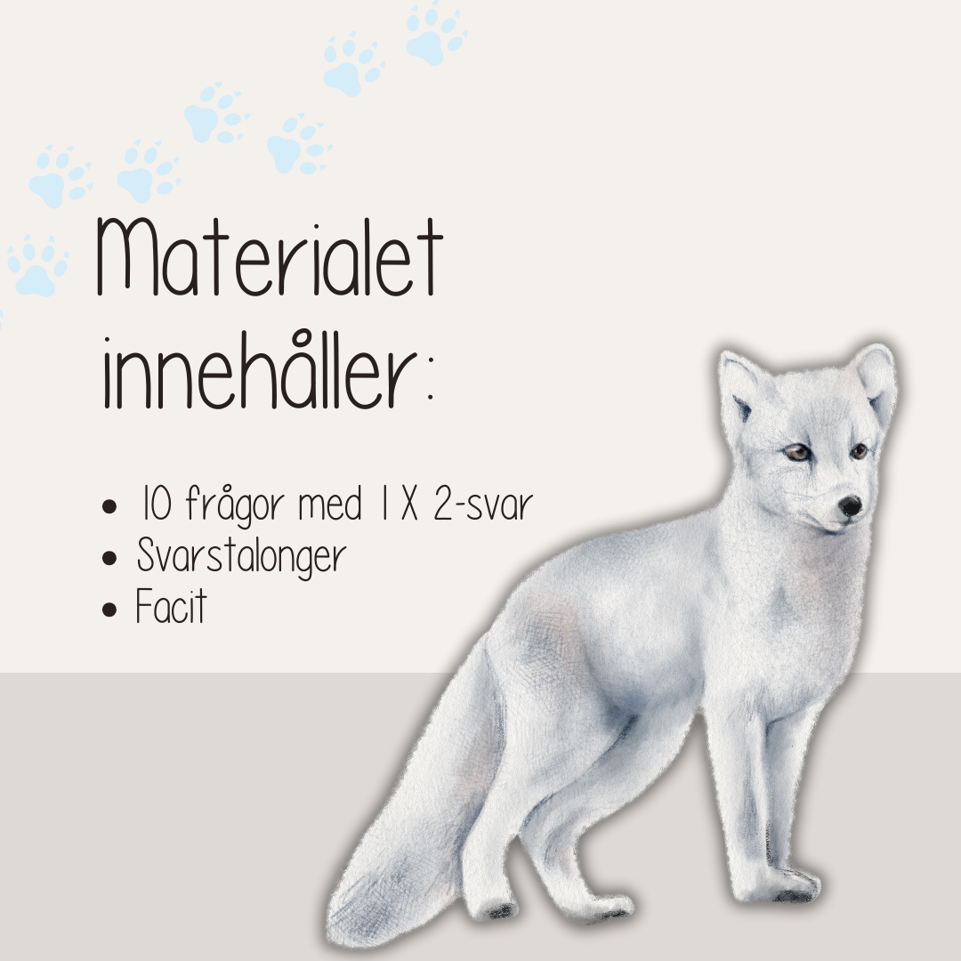 Tipspromenad - Djuren på vintern