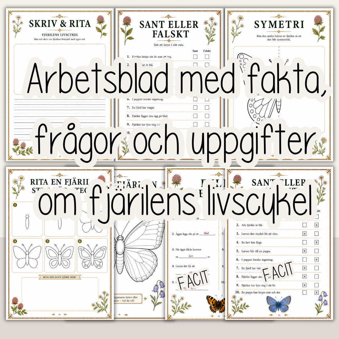 Fjärilens livscykel – Fakta, arbetsblad och pyssel för barn
