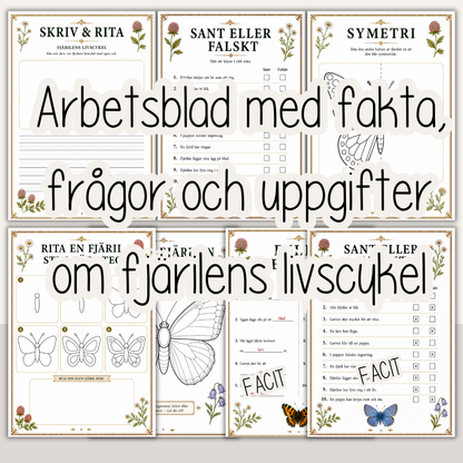 Fjärilens livscykel – Fakta, arbetsblad och pyssel för barn